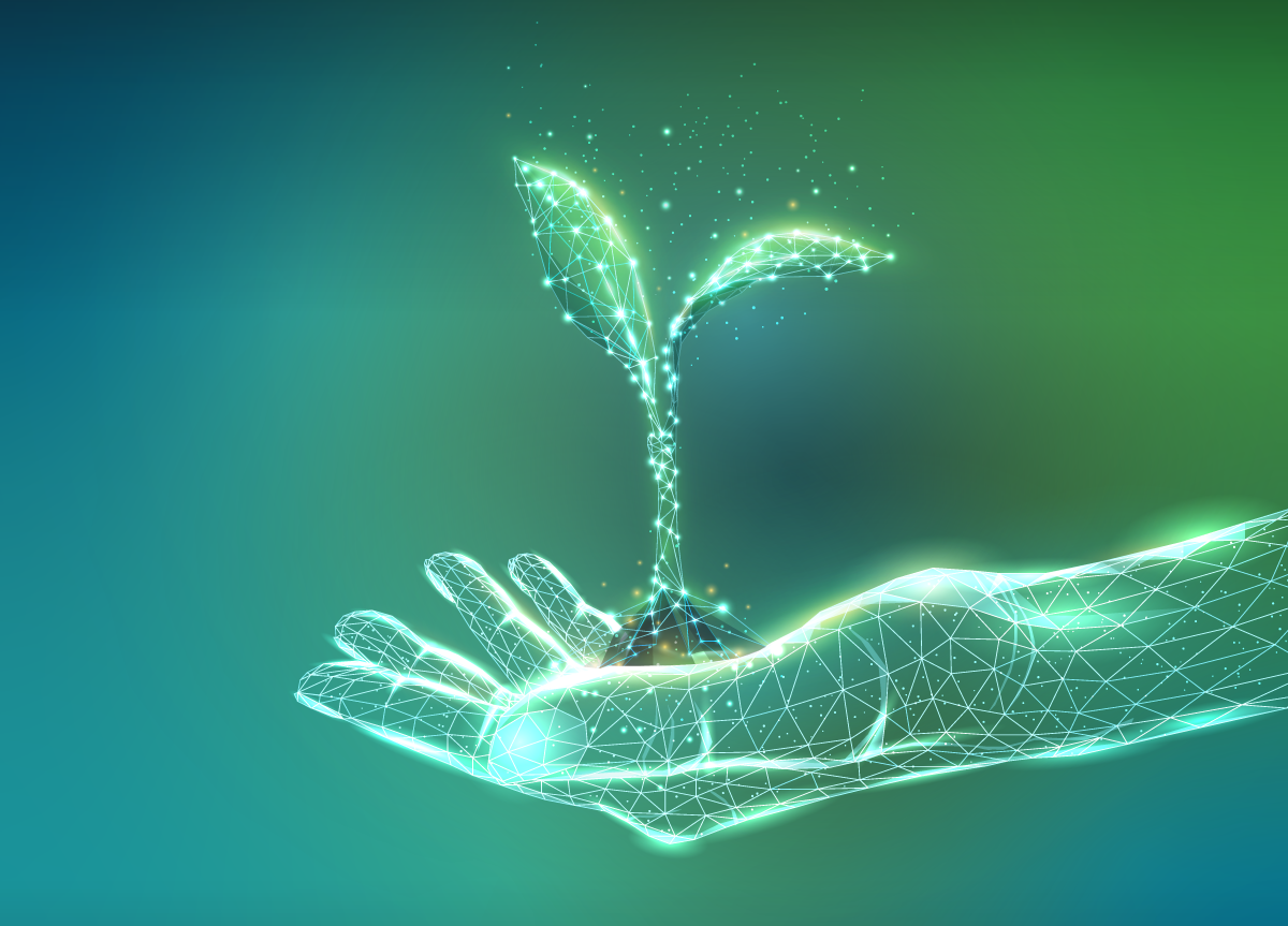 educação ambiental